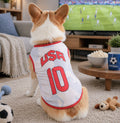 World Cup Jersey — Printed