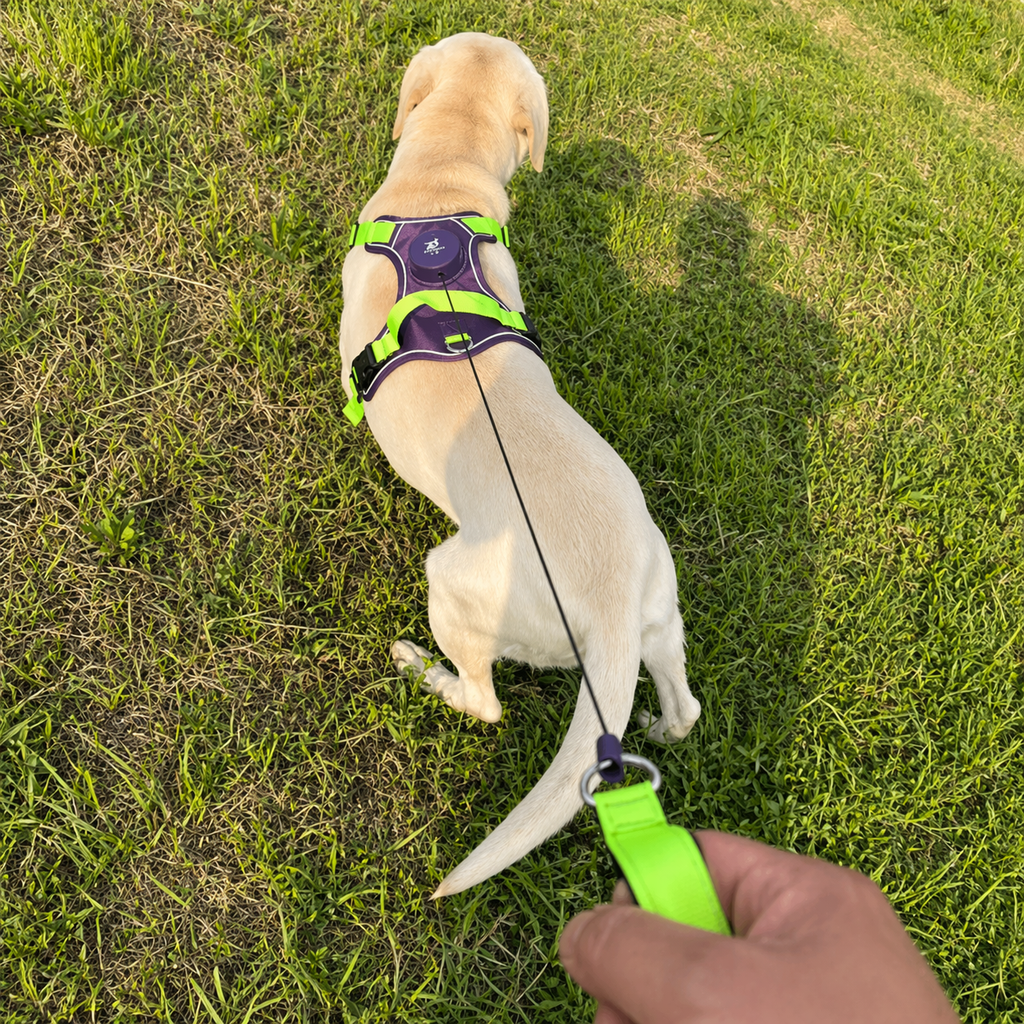 Outdoor Pro Retractable Harness Set