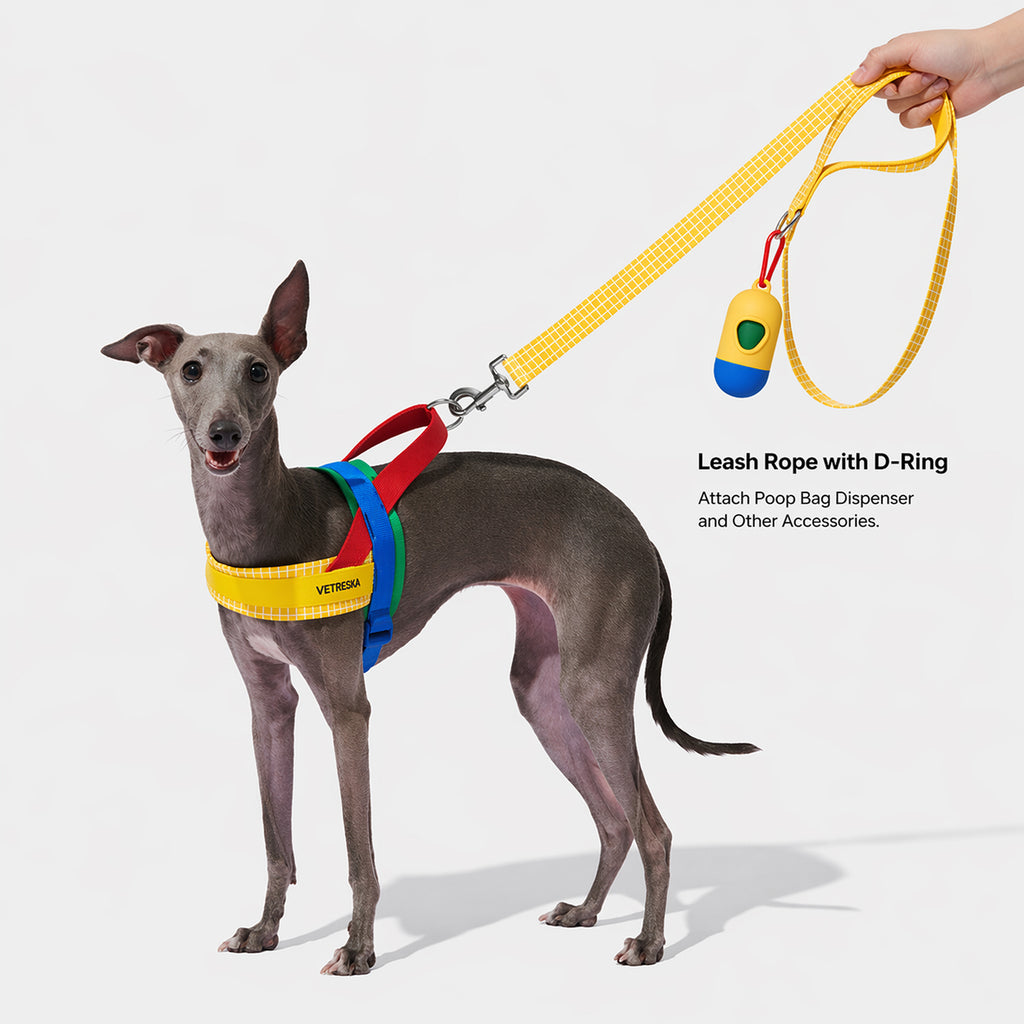 CHROMA Color-Block Harness Set