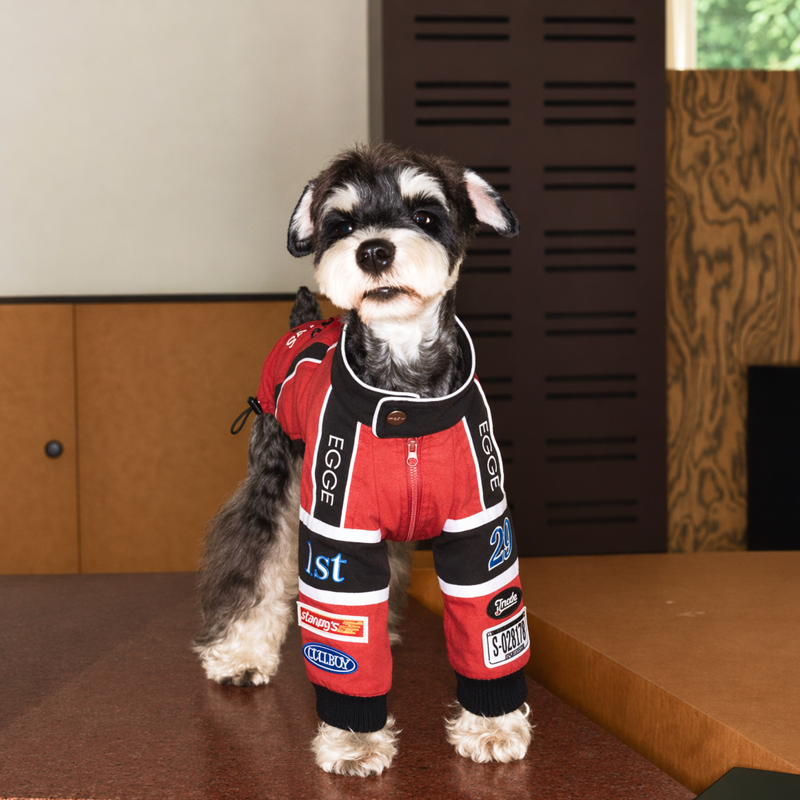 Racing Jacket
