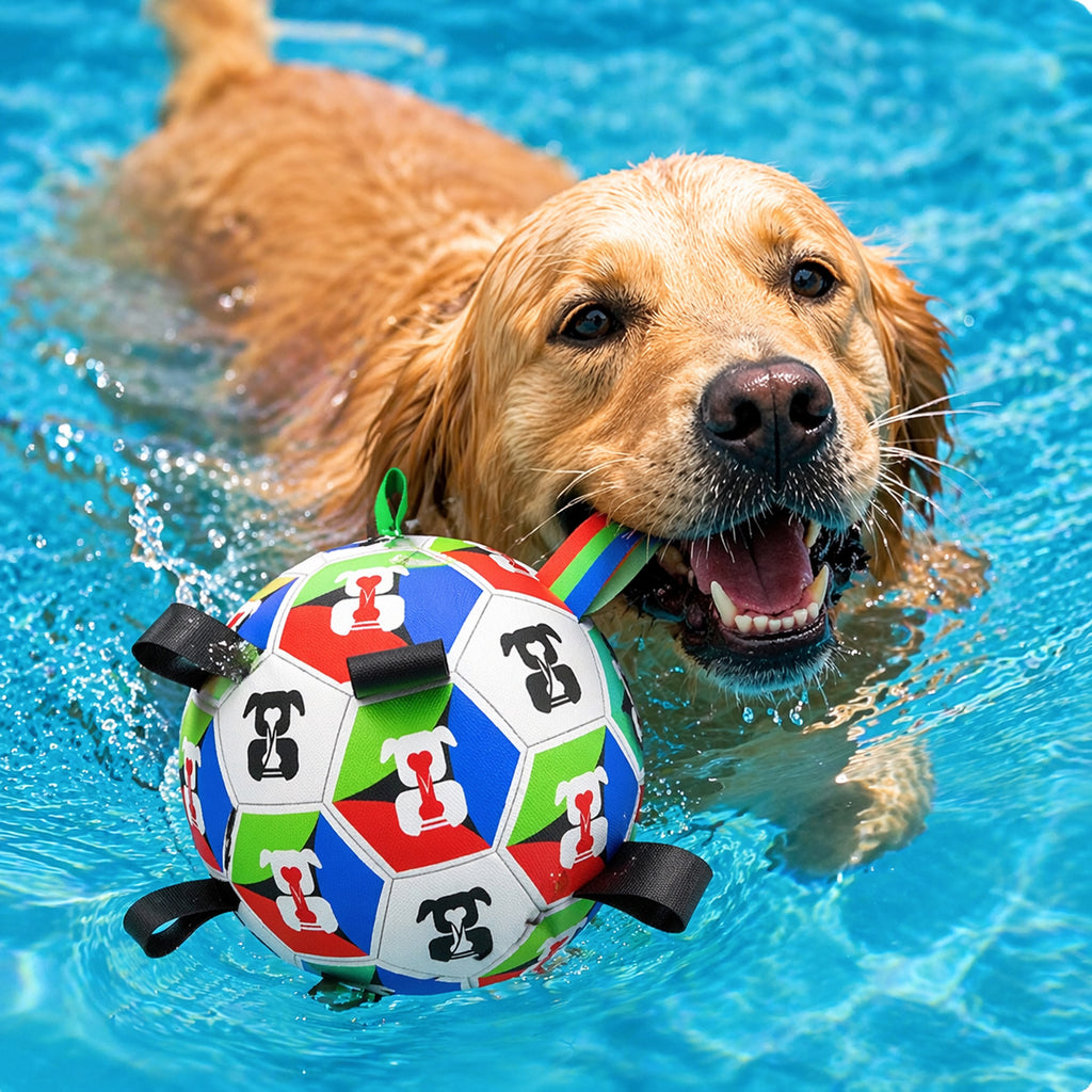 Soccer Ball
