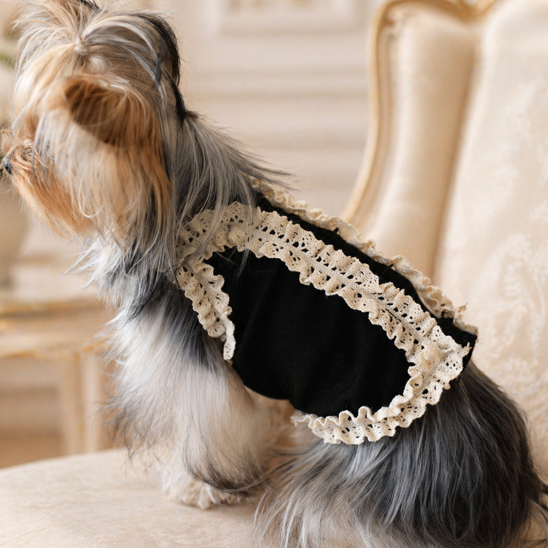 Cotton Vest with Lace Trim — Black