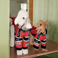Racing Jacket