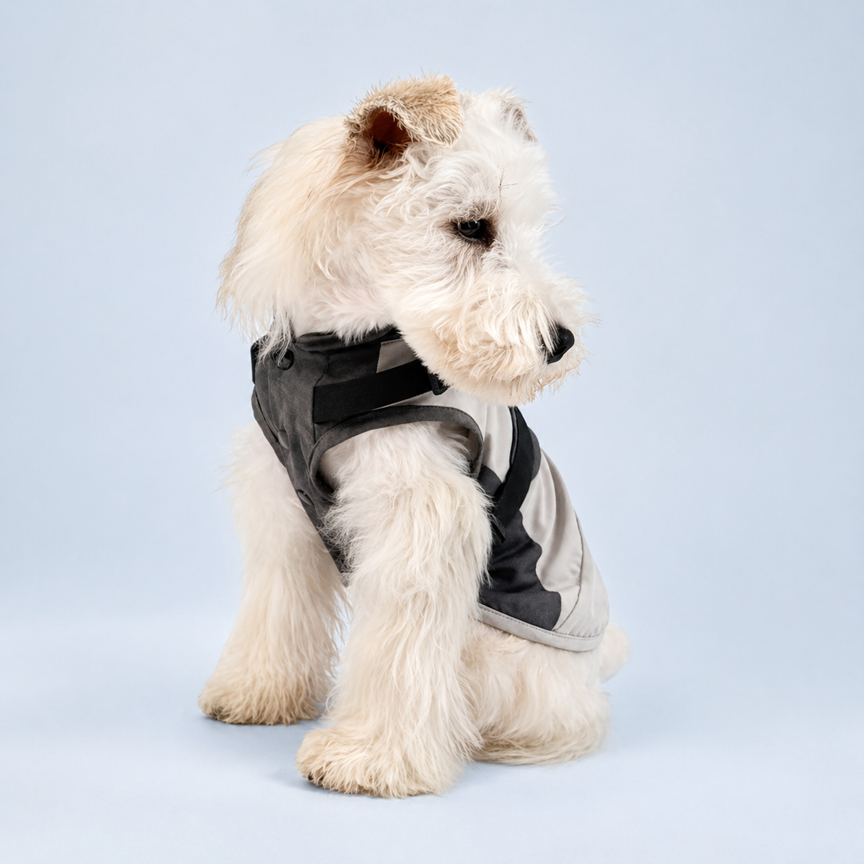 Walk-Ready Harness Vest