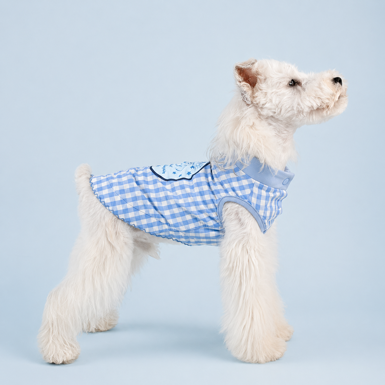 Blue Gingham Daily Tank