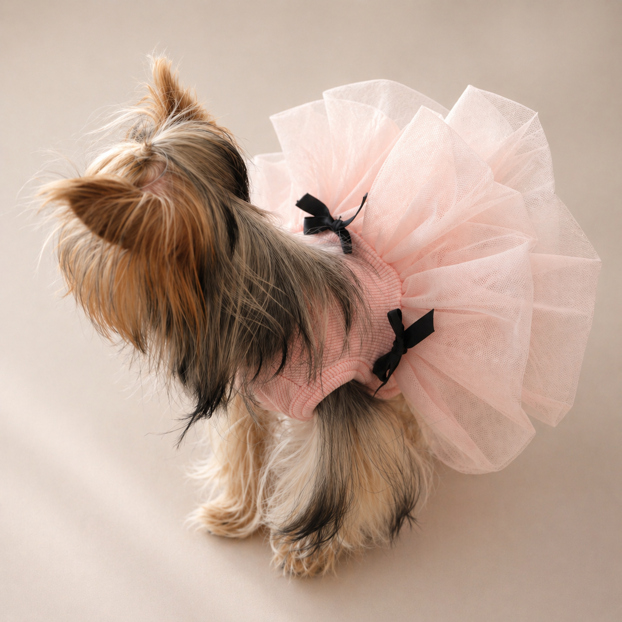 Tulle Tutu Dress with Bow Detail