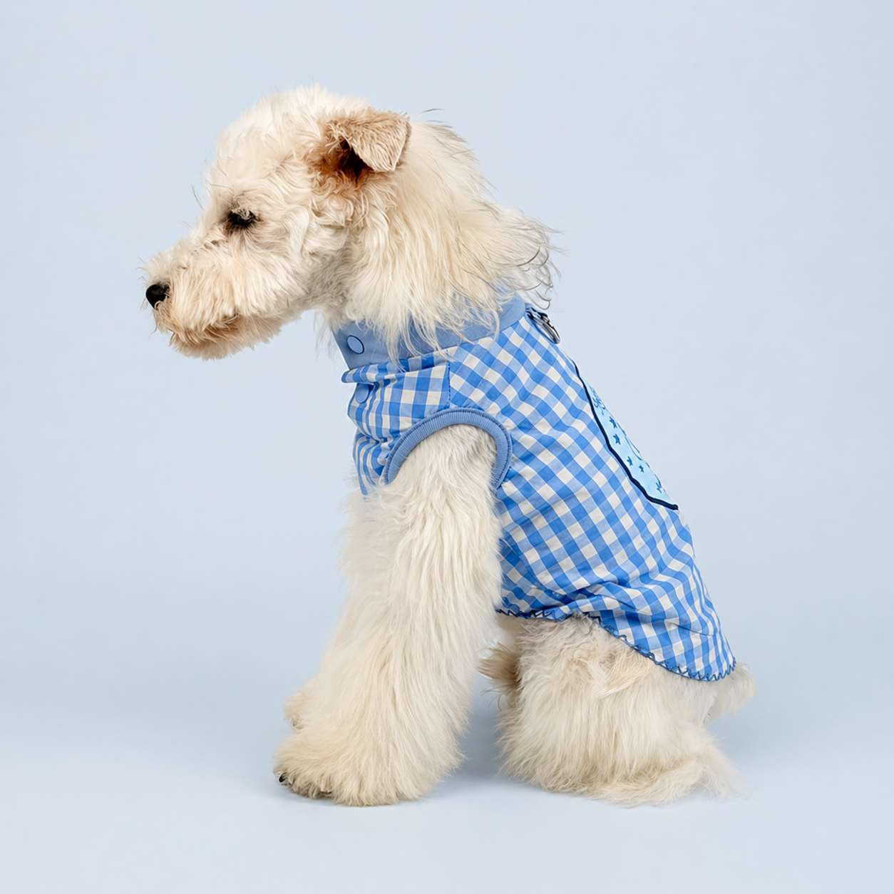 Blue Gingham Daily Tank