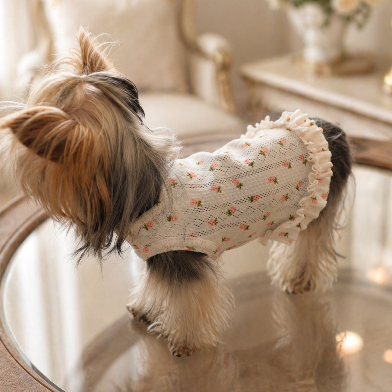 Pointelle Knit Vest with Rosebud Print