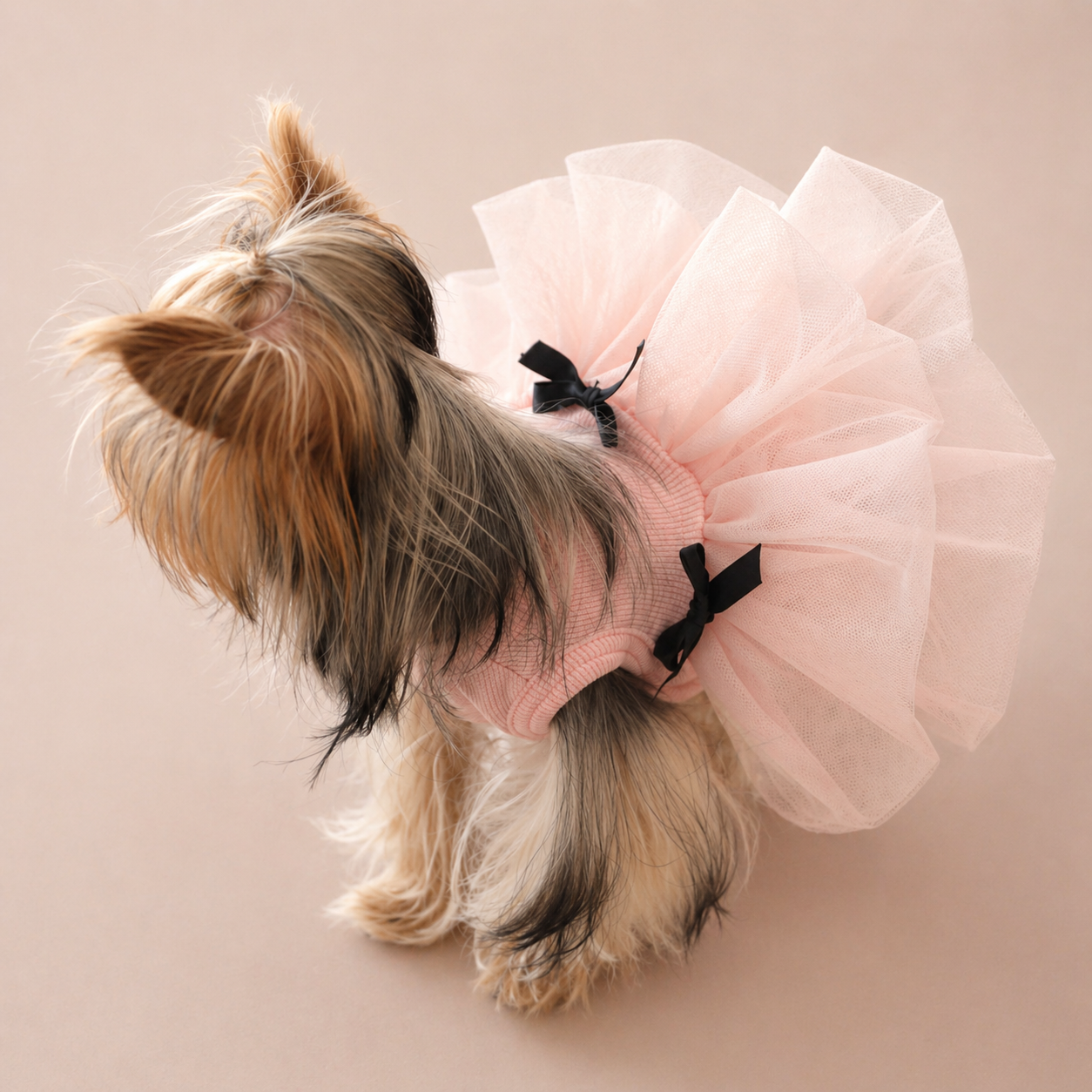 Tulle Tutu Dress with Bow Detail