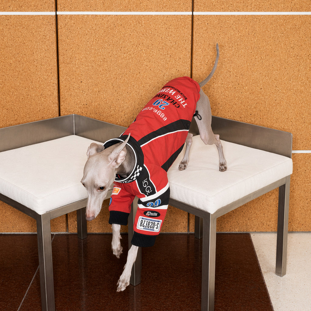 Racing Jacket