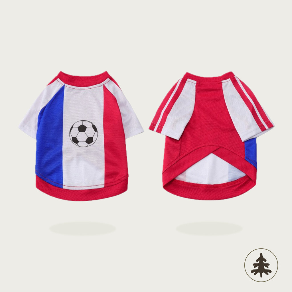 World Cup Jersey