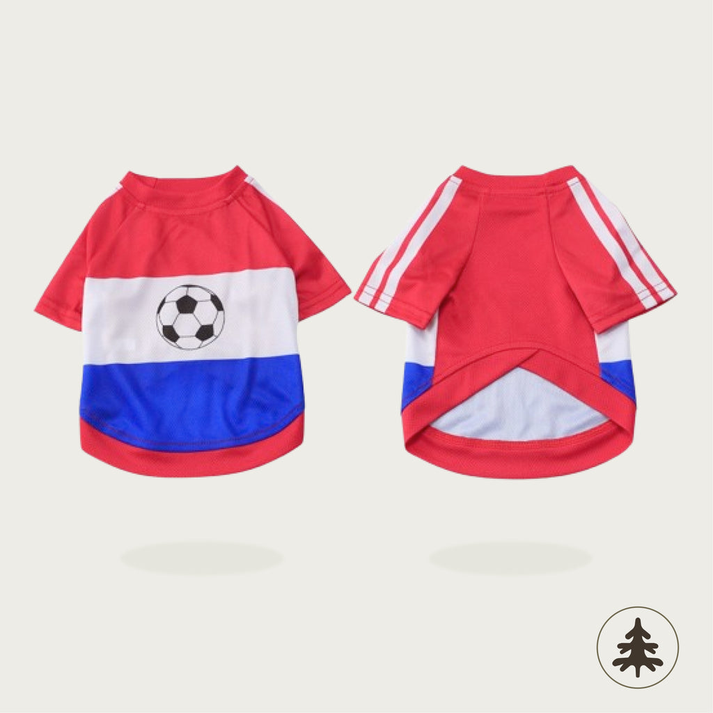 World Cup Jersey