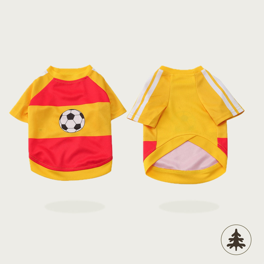 World Cup Jersey