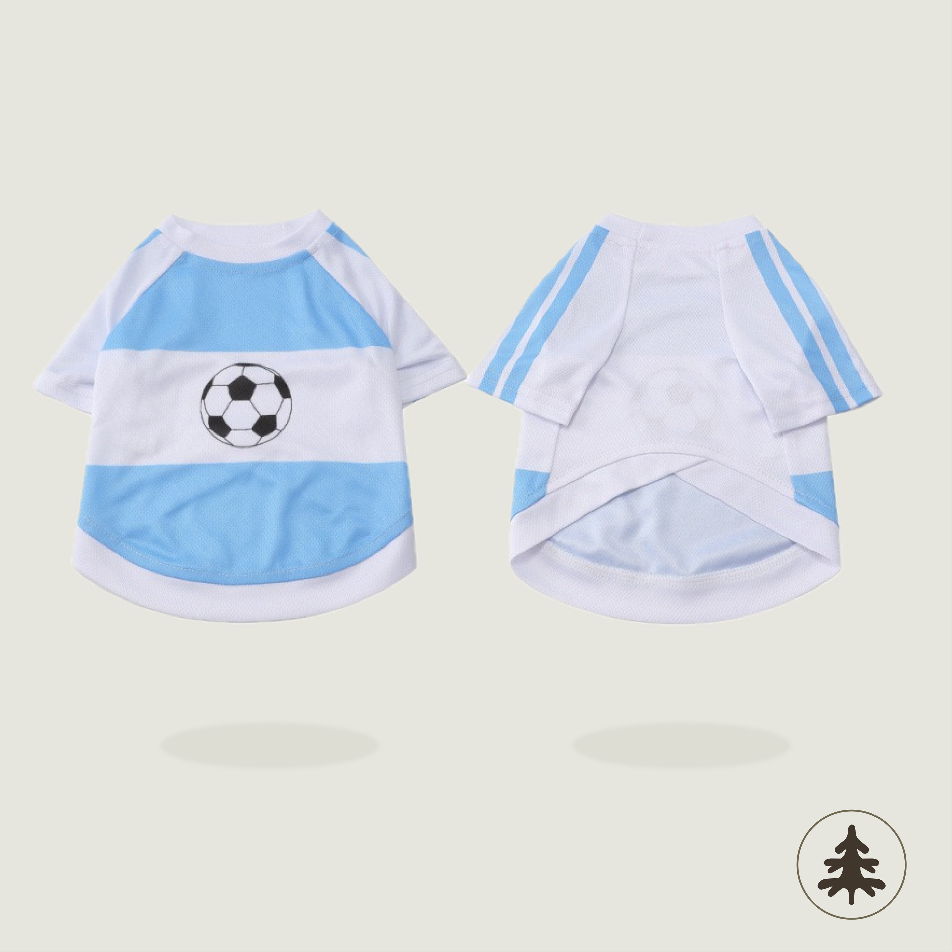 World Cup Jersey