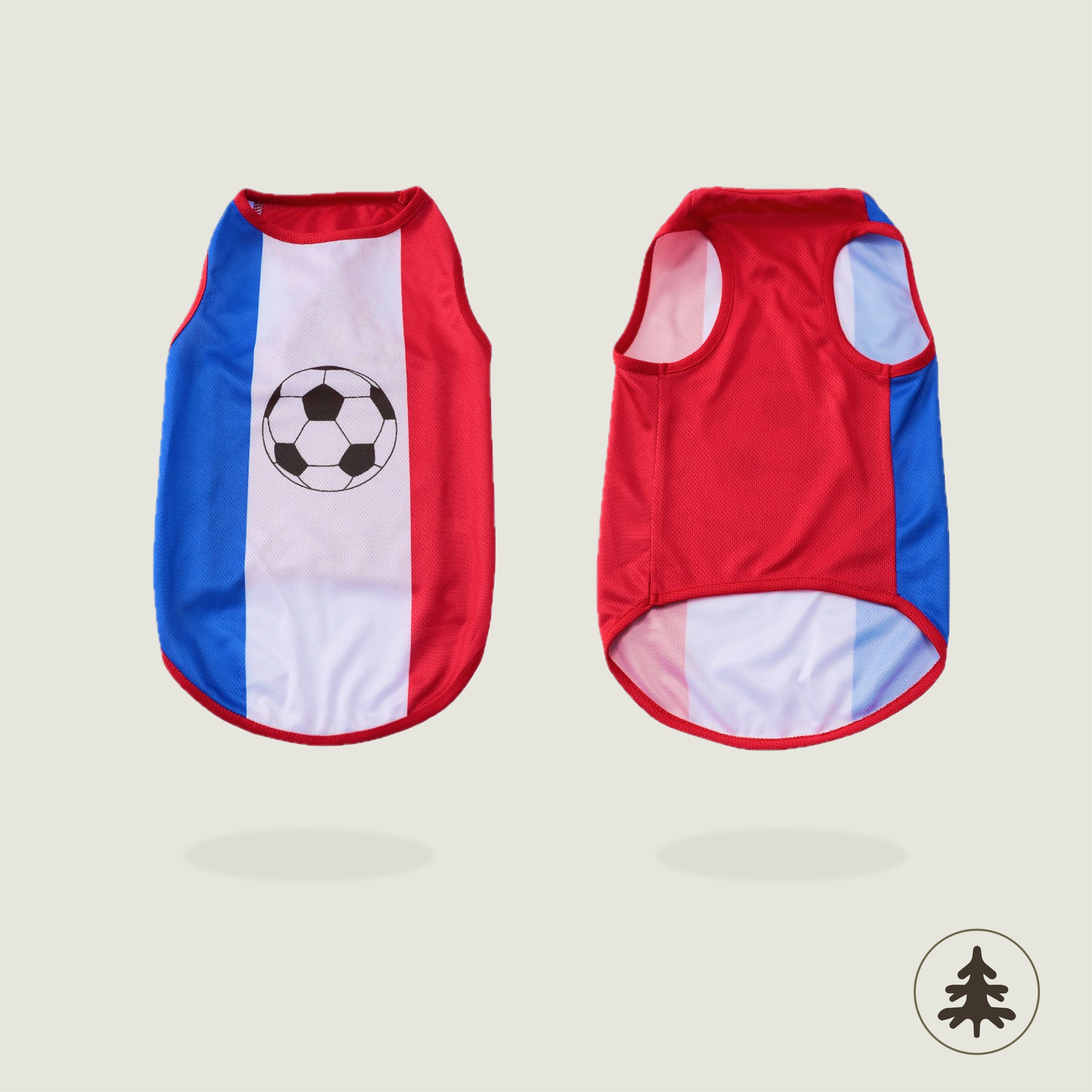 World Cup Jersey — Mesh