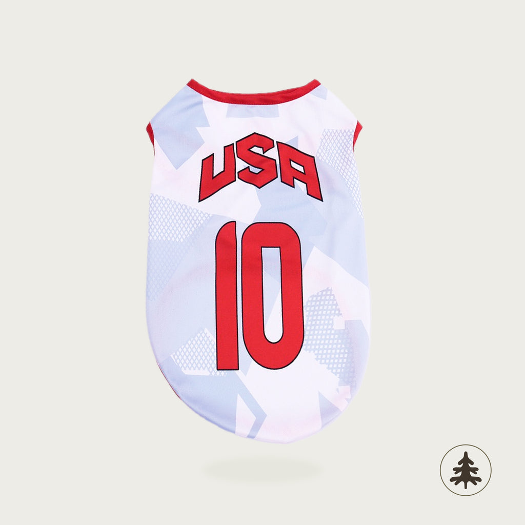 World Cup Jersey — Printed
