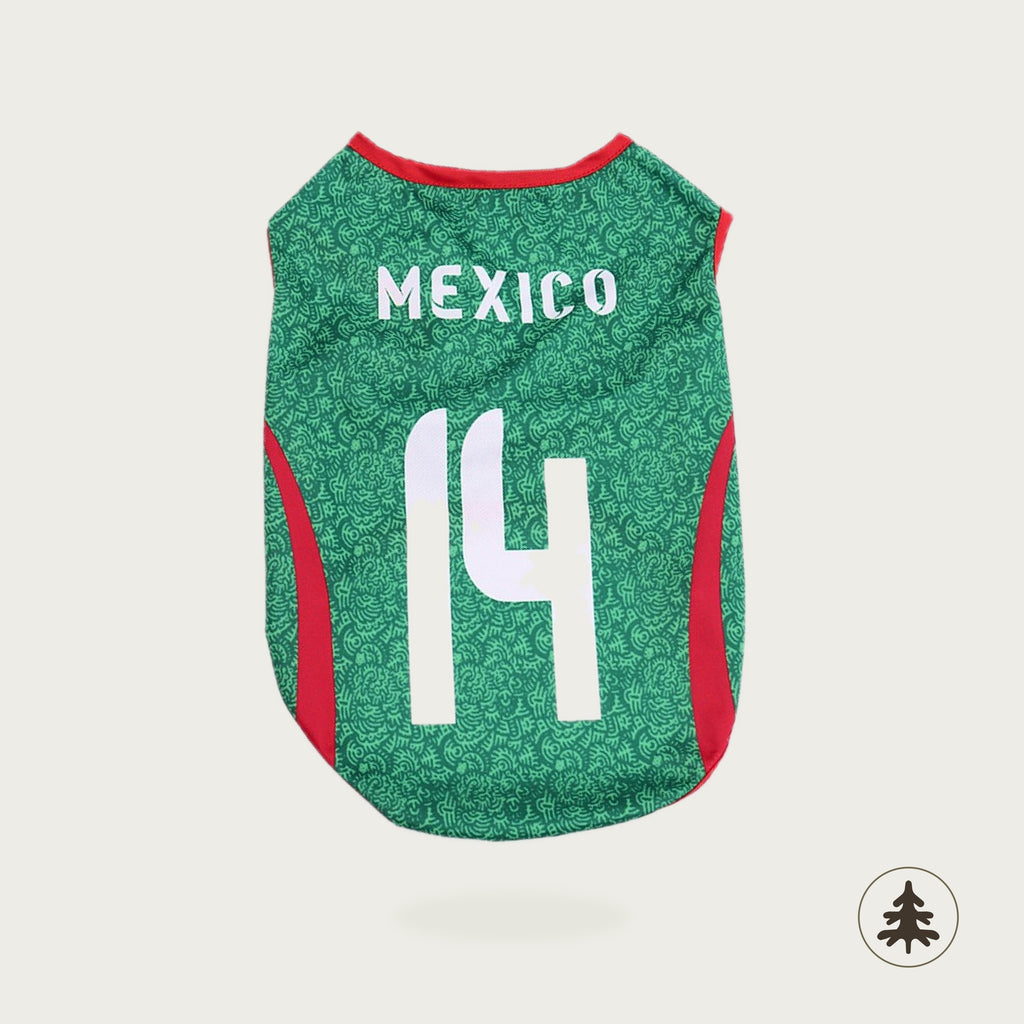 World Cup Jersey — Printed