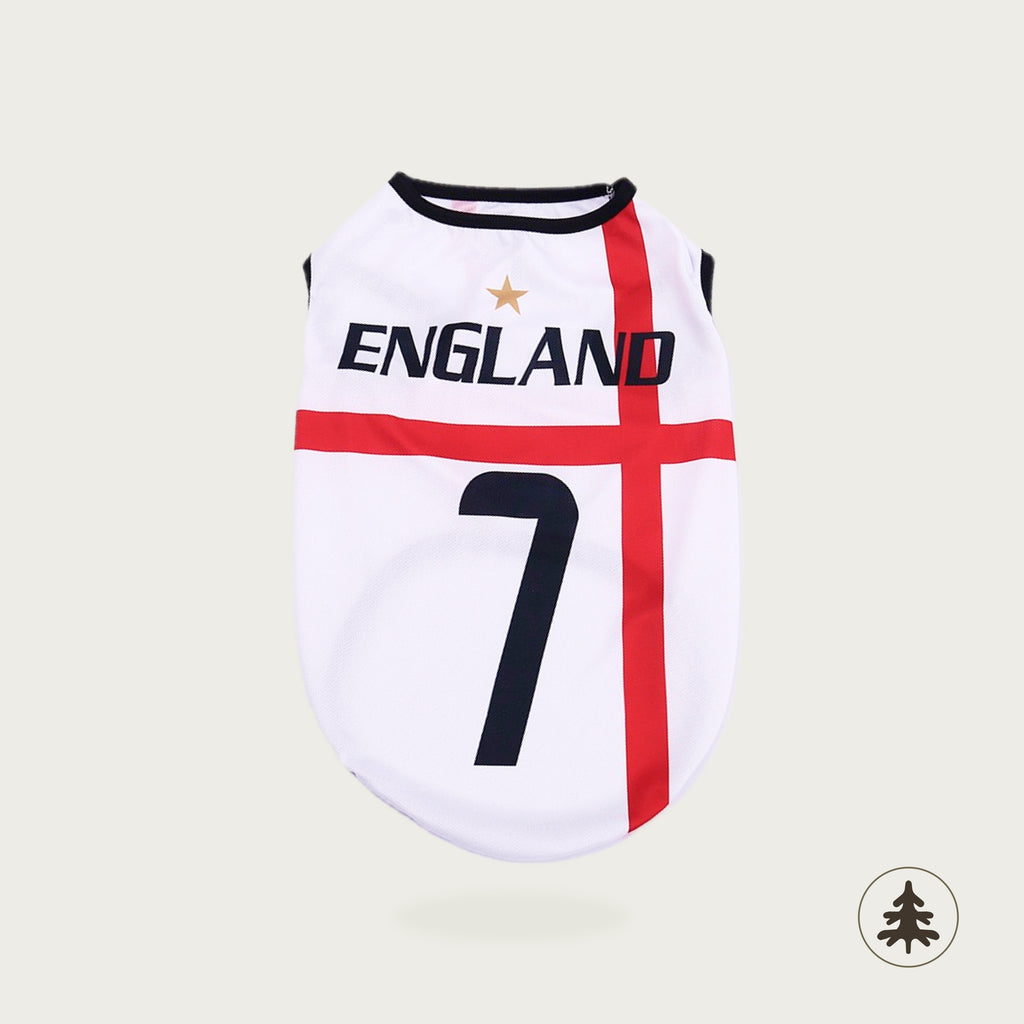 World Cup Jersey — Printed
