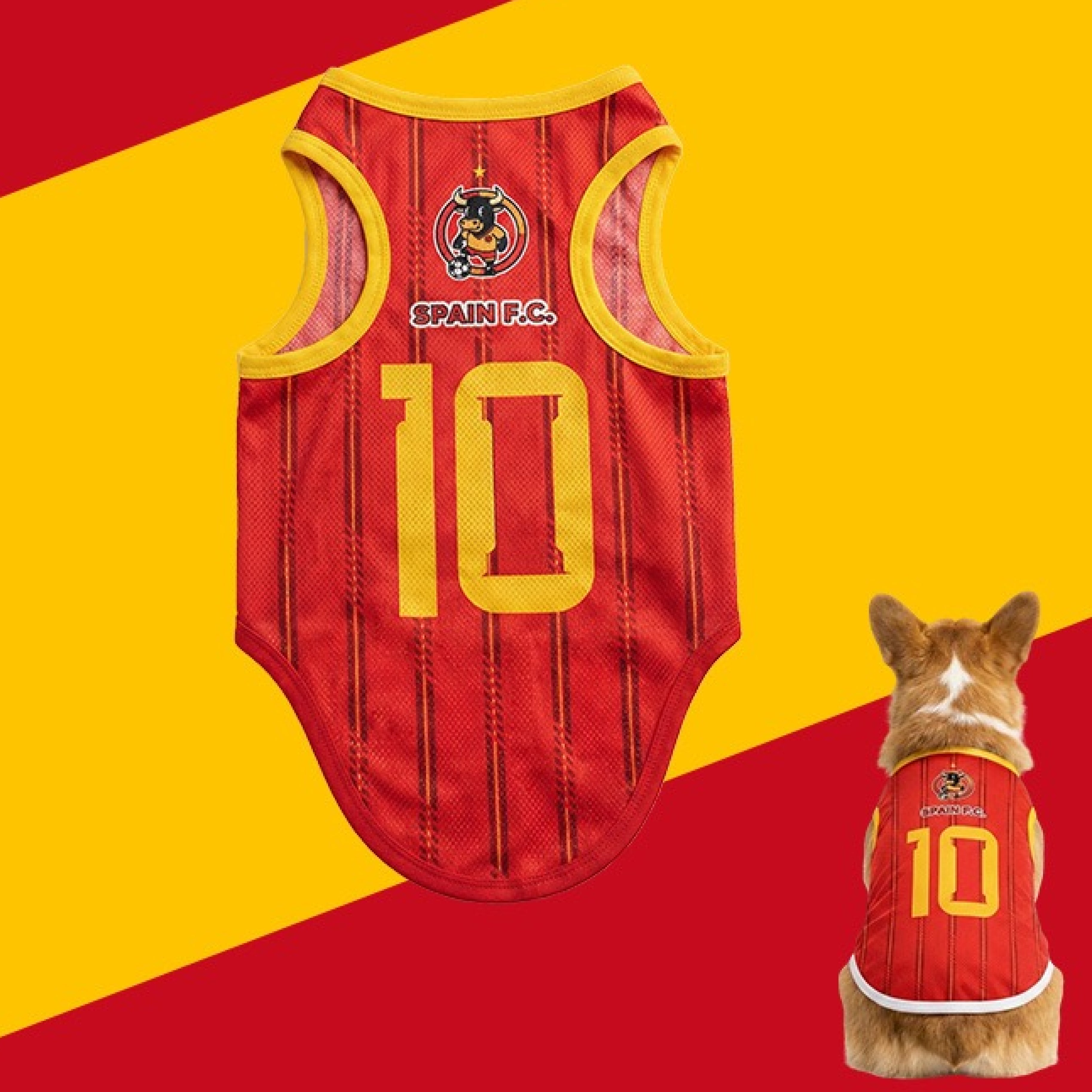World Cup Jersey — Mascot