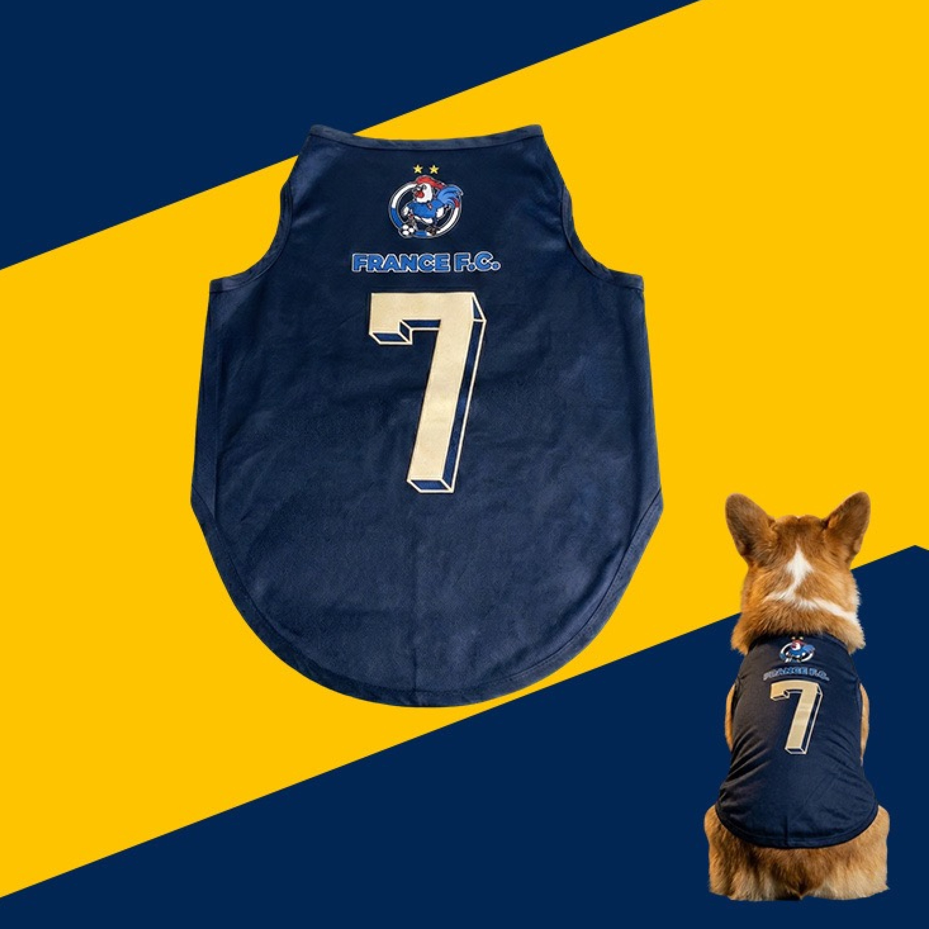 World Cup Jersey — Mascot