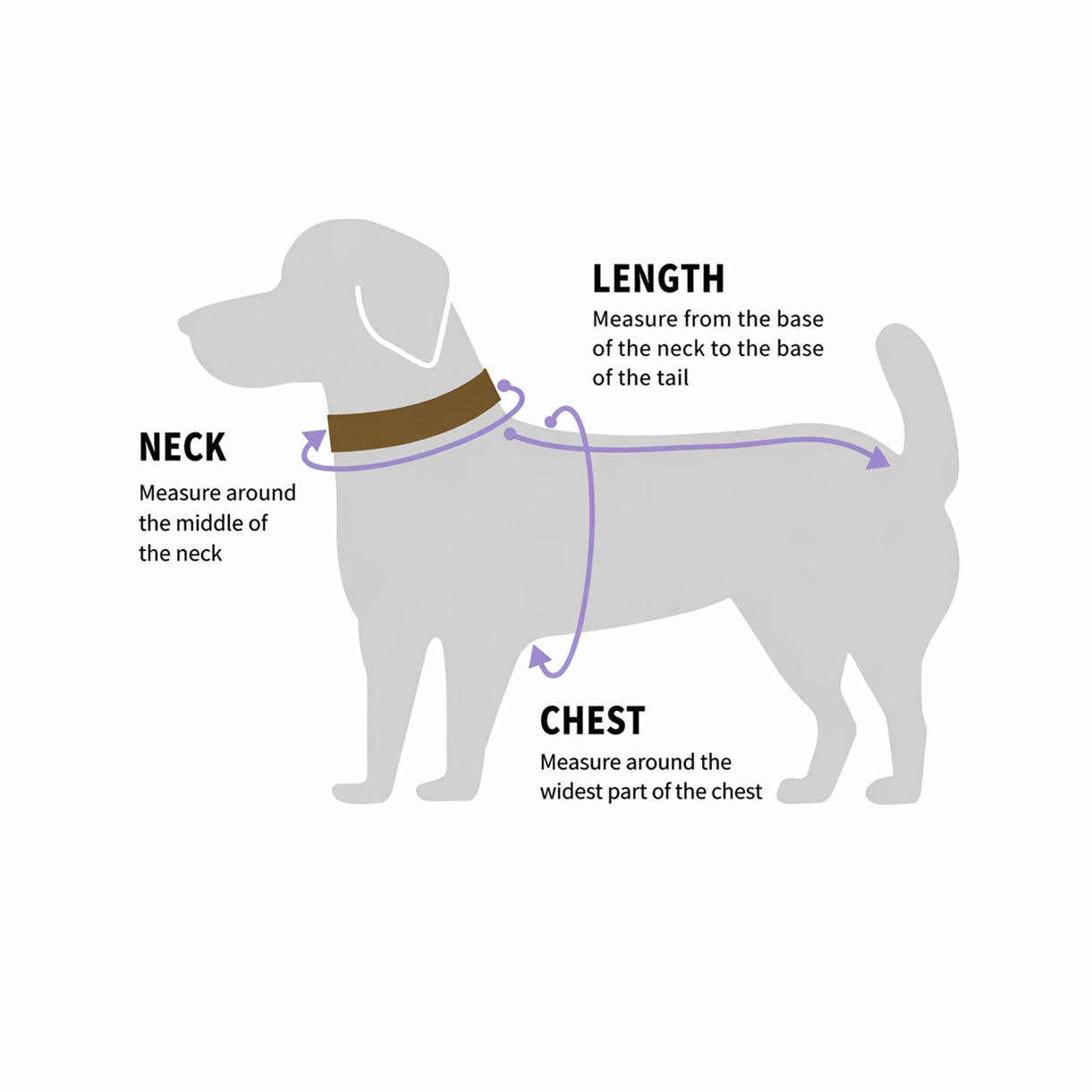 Handwoven Chevron Collar & Leash