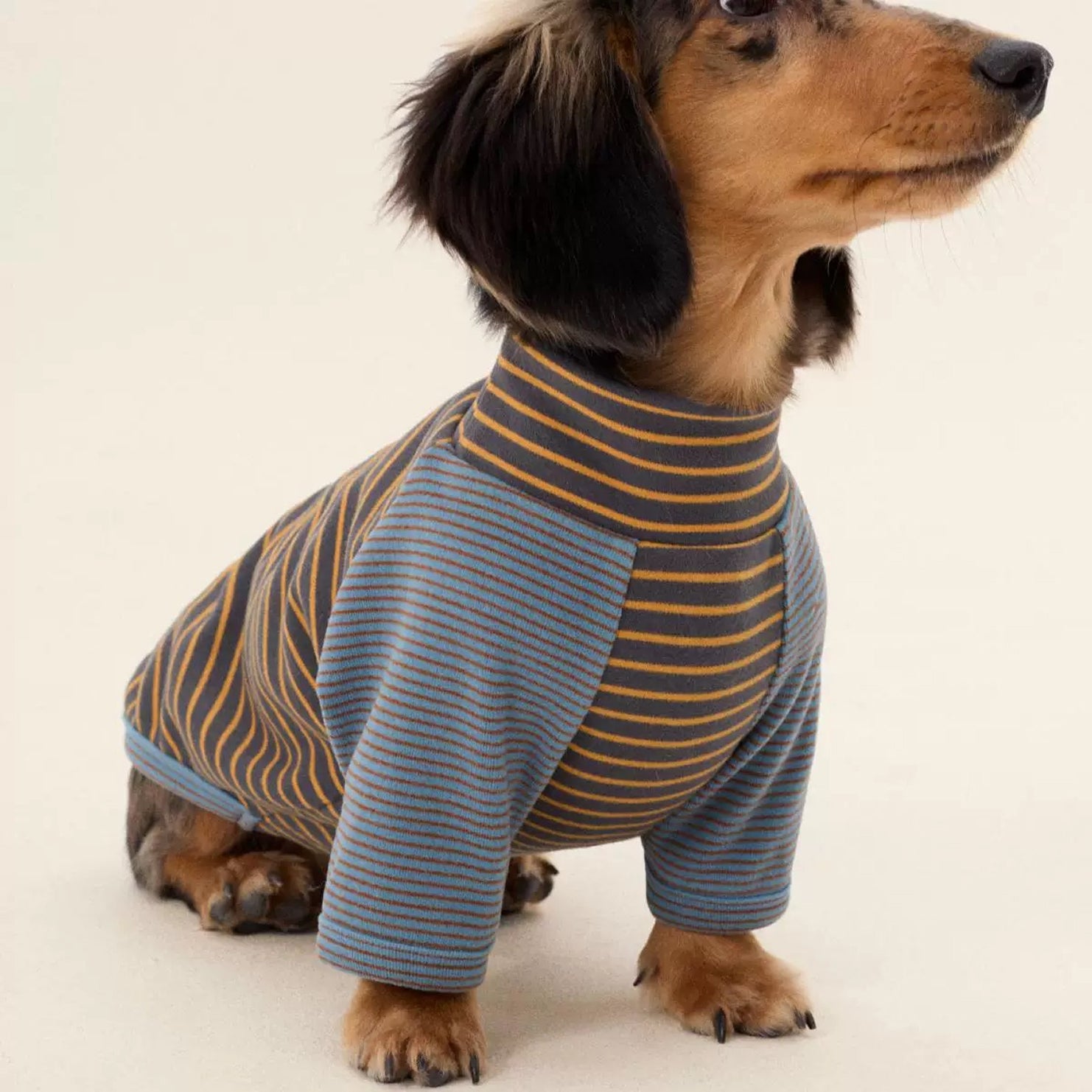 Striped Two-Leg Suit