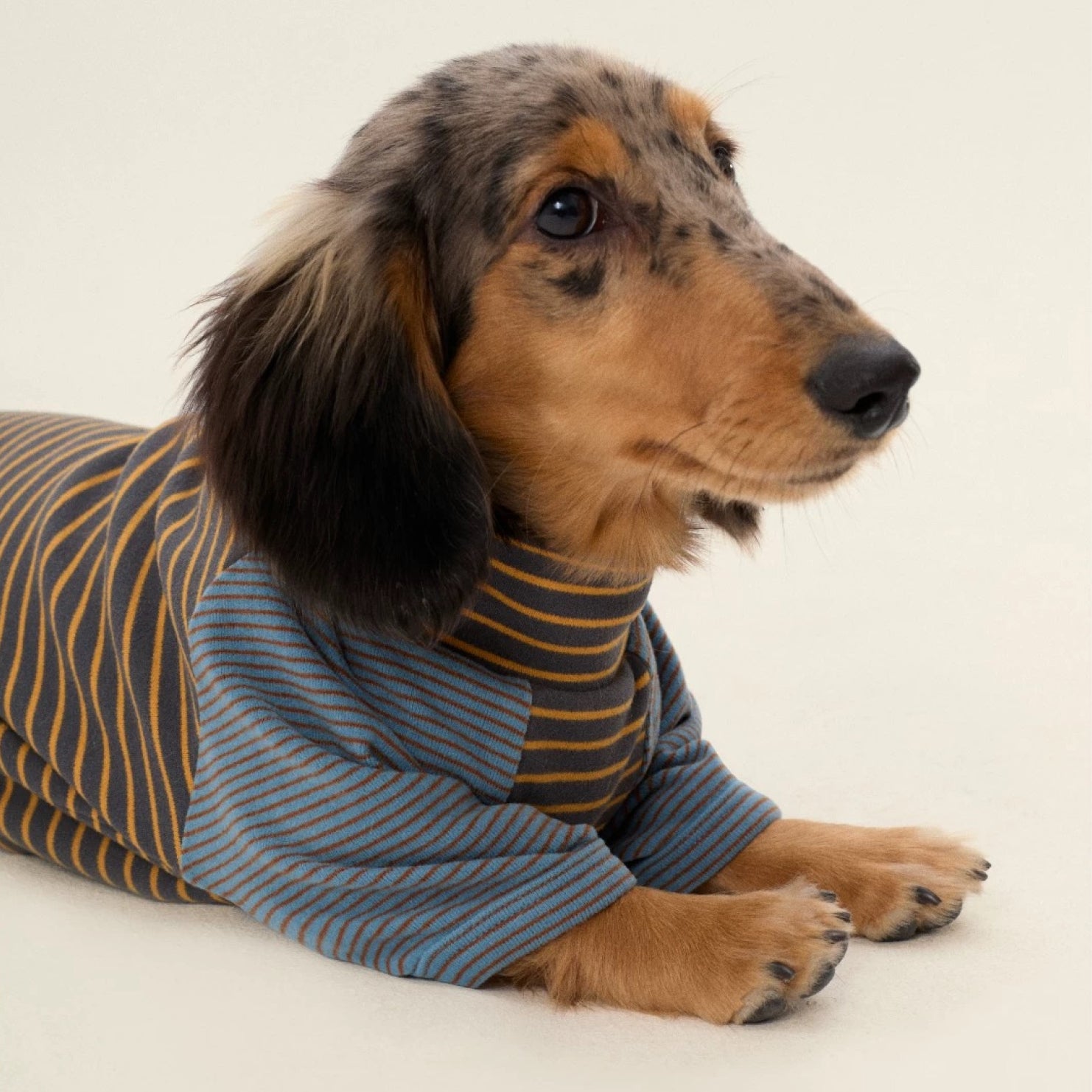 Striped Two-Leg Suit