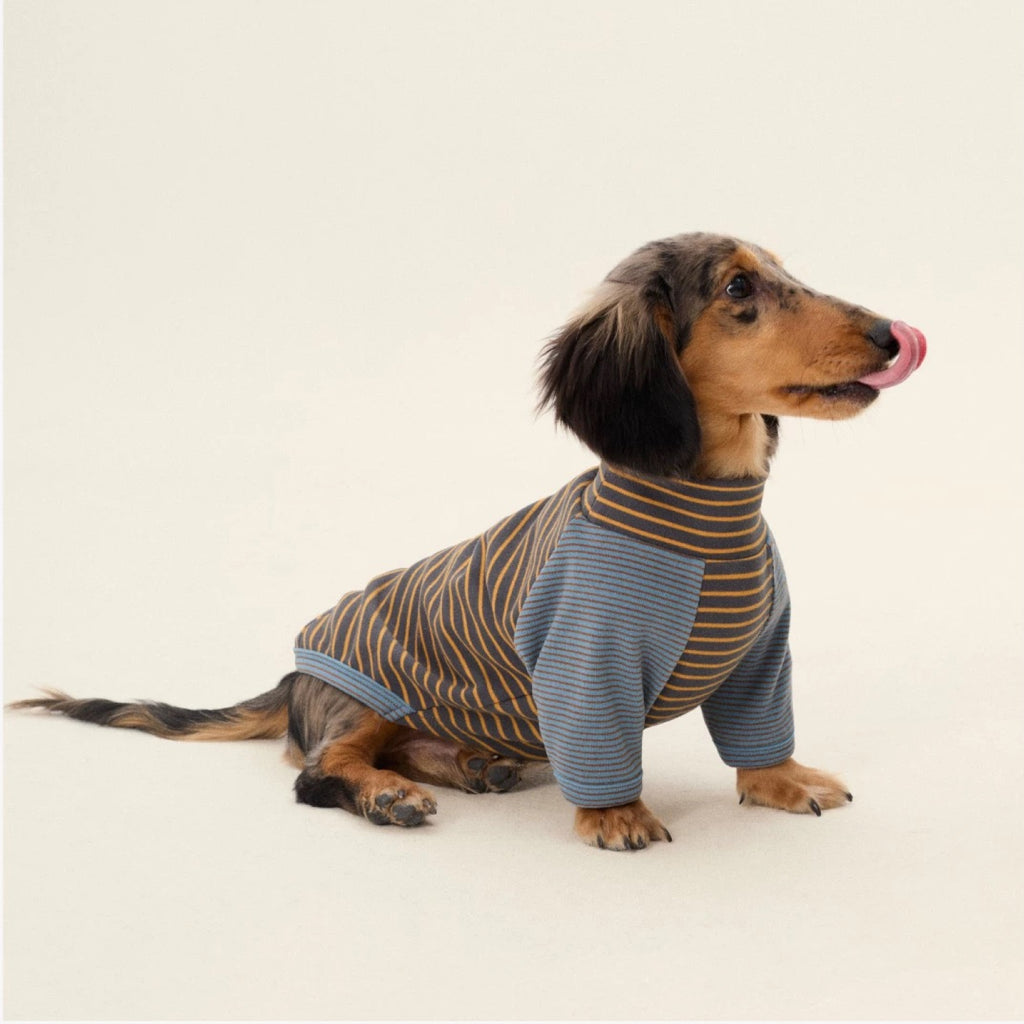 Striped Two-Leg Suit
