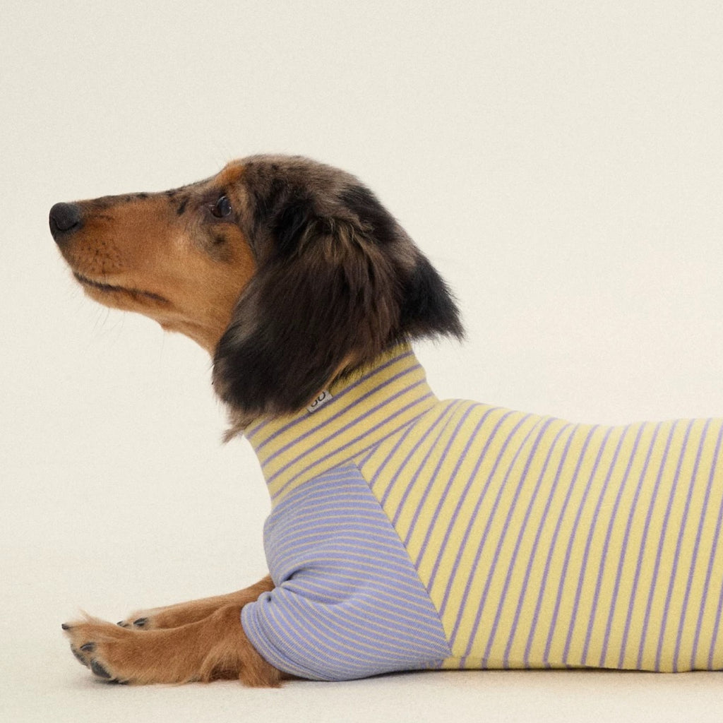 Striped Two-Leg Suit