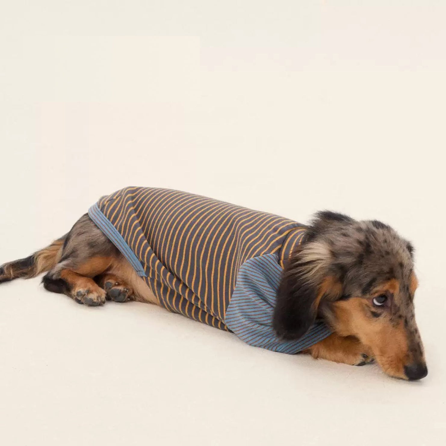 Striped Two-Leg Suit