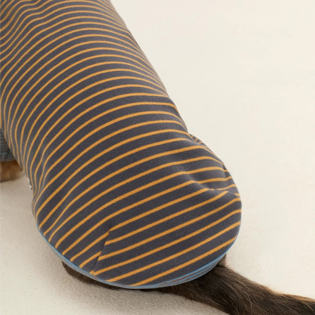 Striped Two-Leg Suit
