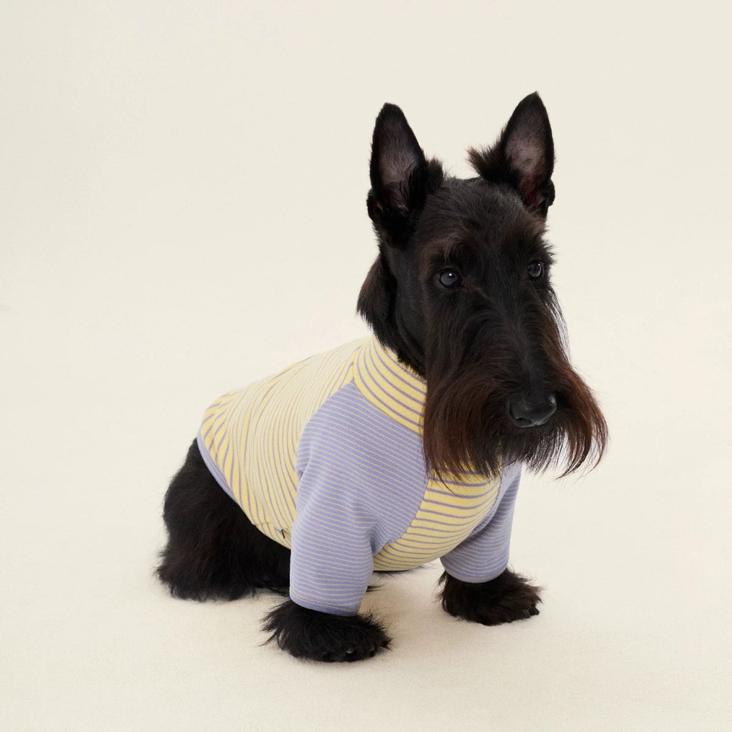 Striped Two-Leg Suit