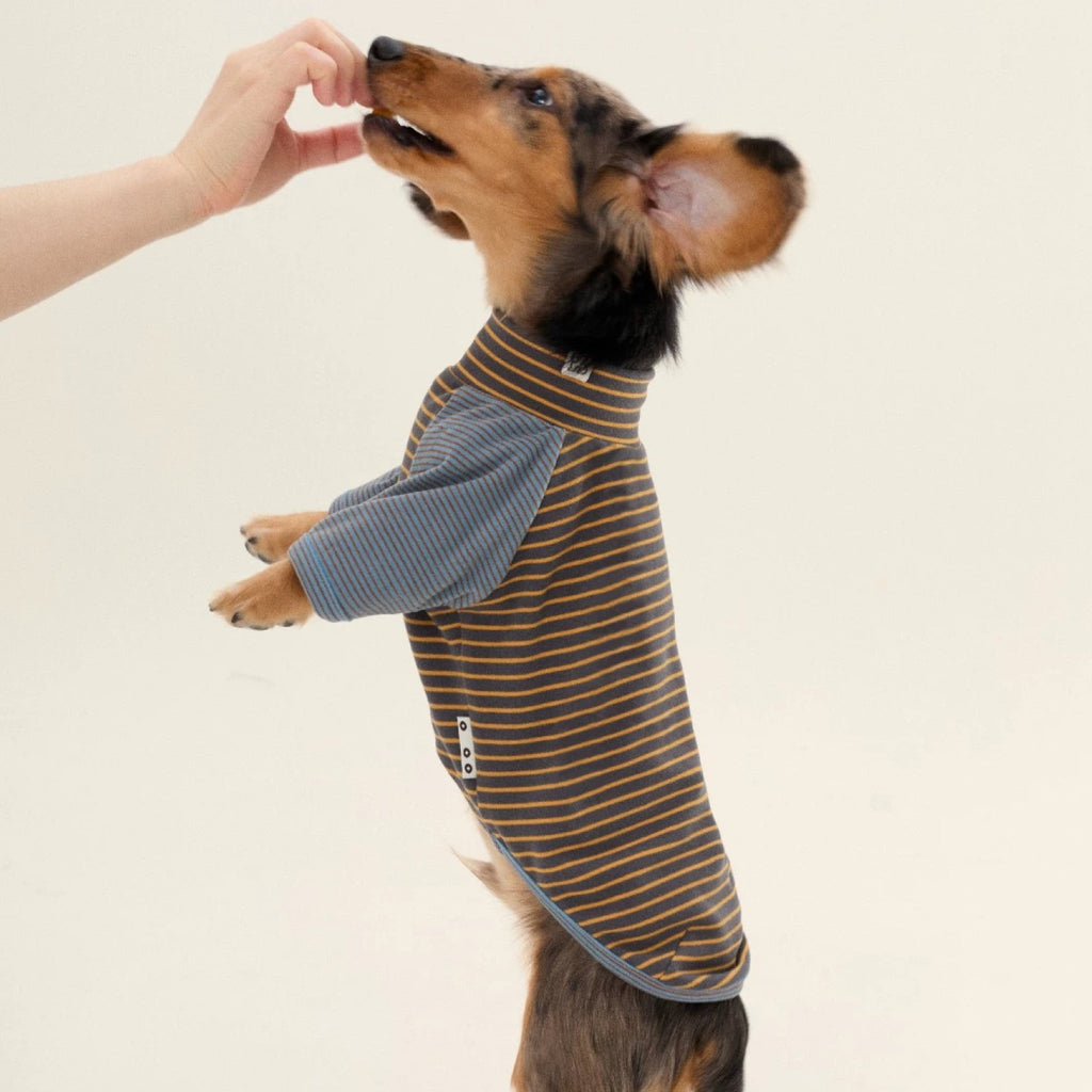 Striped Two-Leg Suit