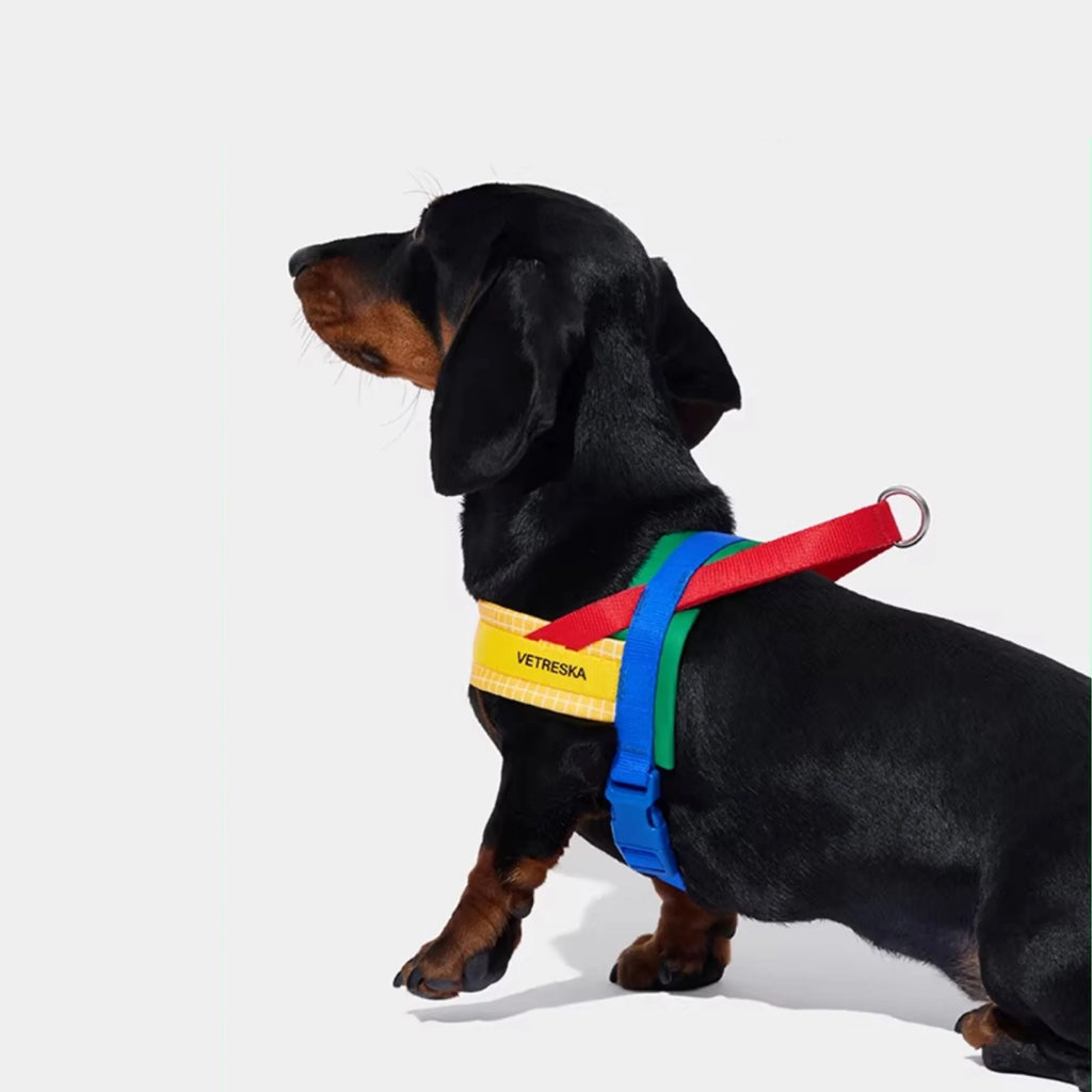 CHROMA Color-Block Harness Set