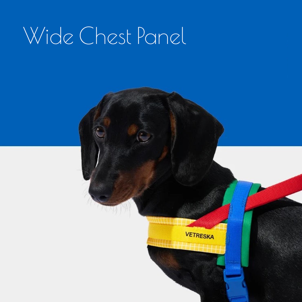 CHROMA Color-Block Harness Set