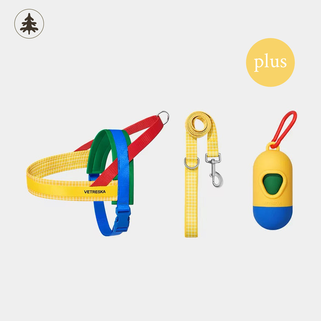 CHROMA Color-Block Harness Set