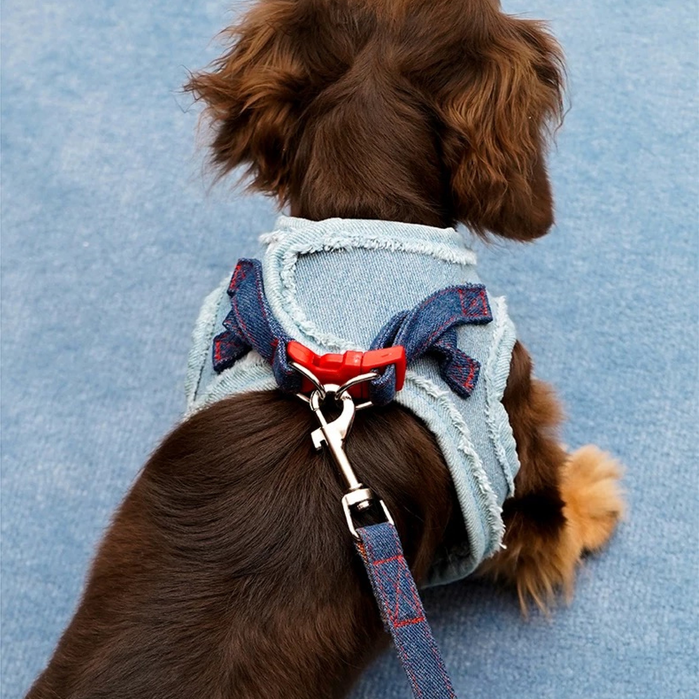 Denim Harness & Leash Set