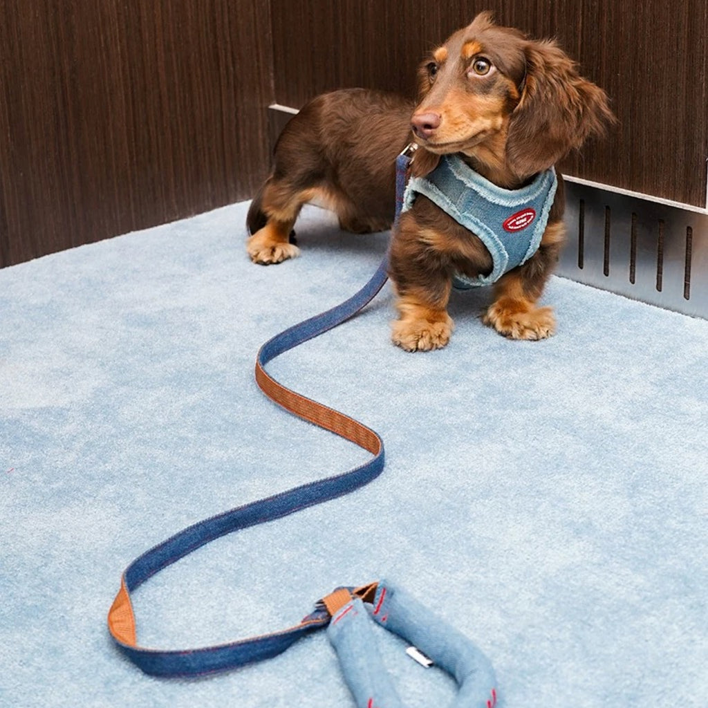 Denim Harness & Leash Set