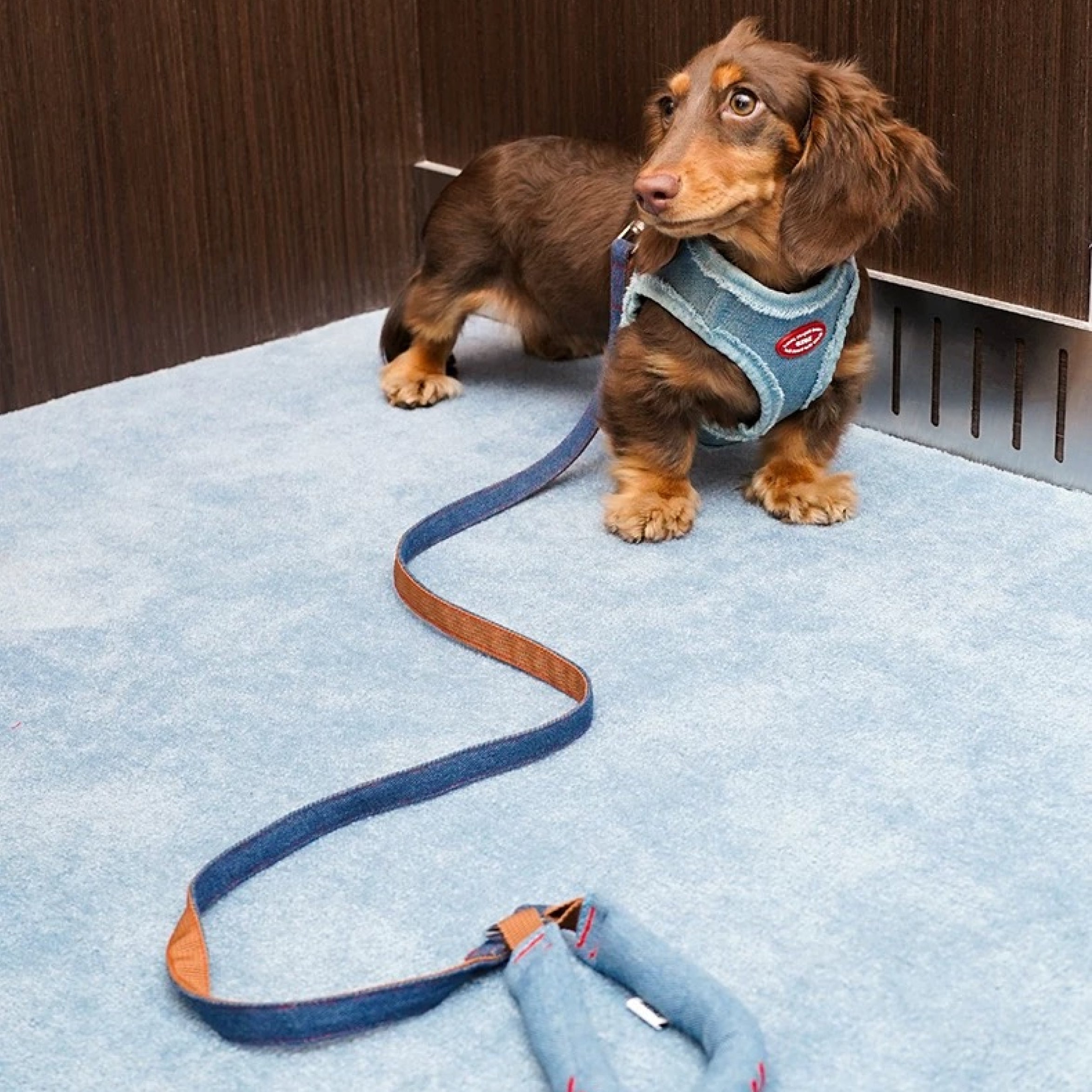 Denim Harness & Leash Set