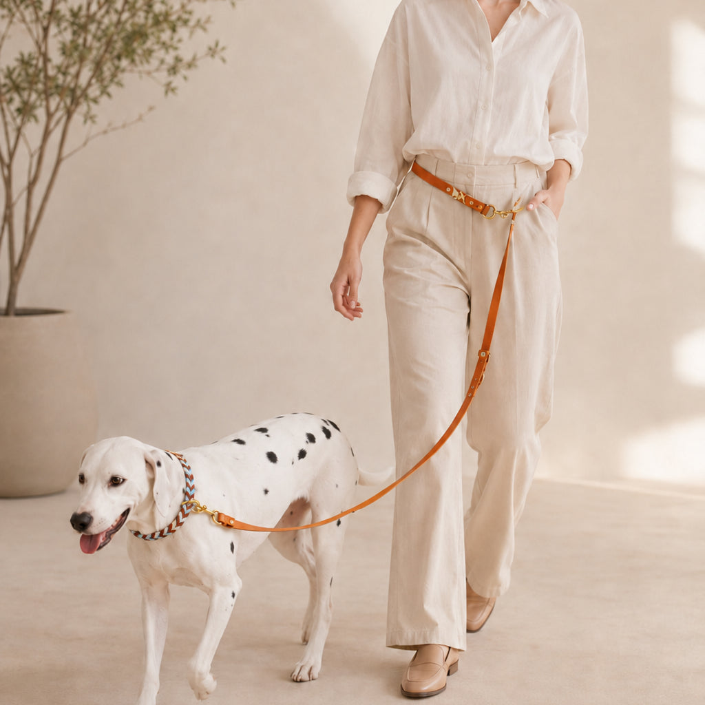 Handwoven Chevron Collar & Leash