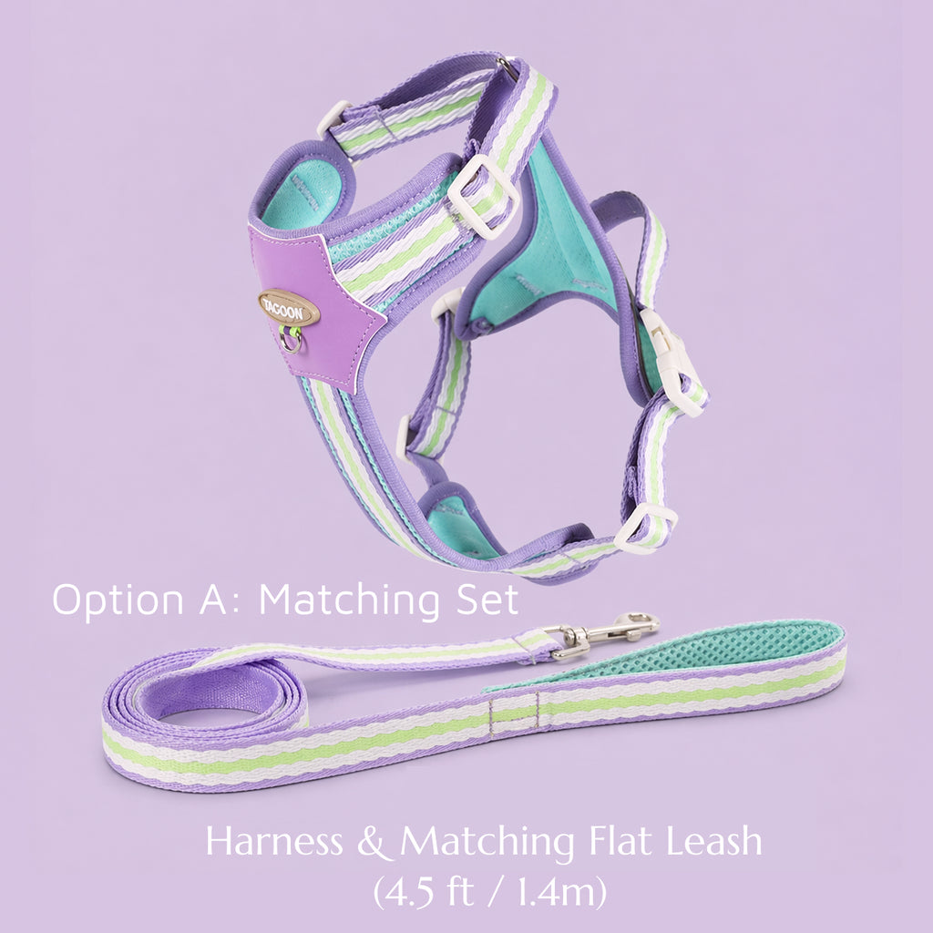 Pastel Stripe Harness Set