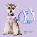 Pastel Stripe Harness Set