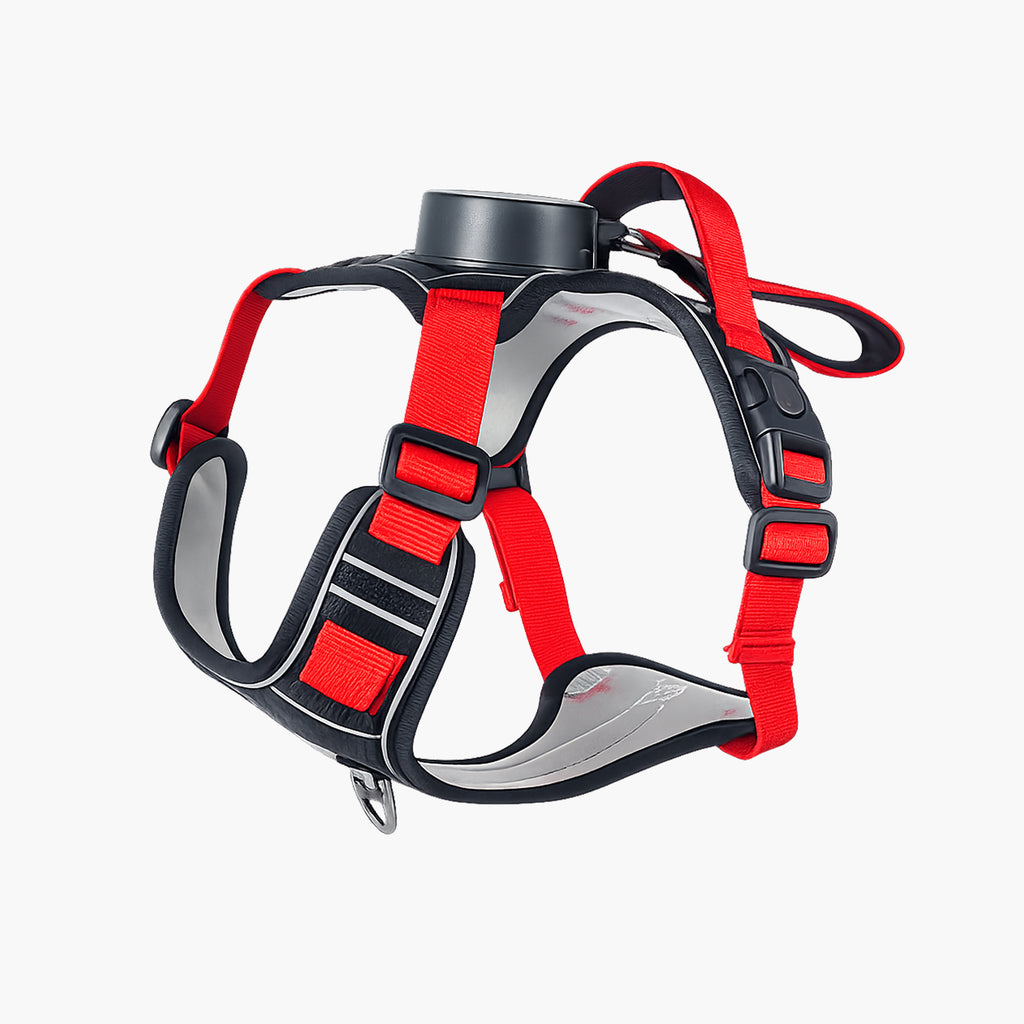 Outdoor Pro Retractable Harness Set
