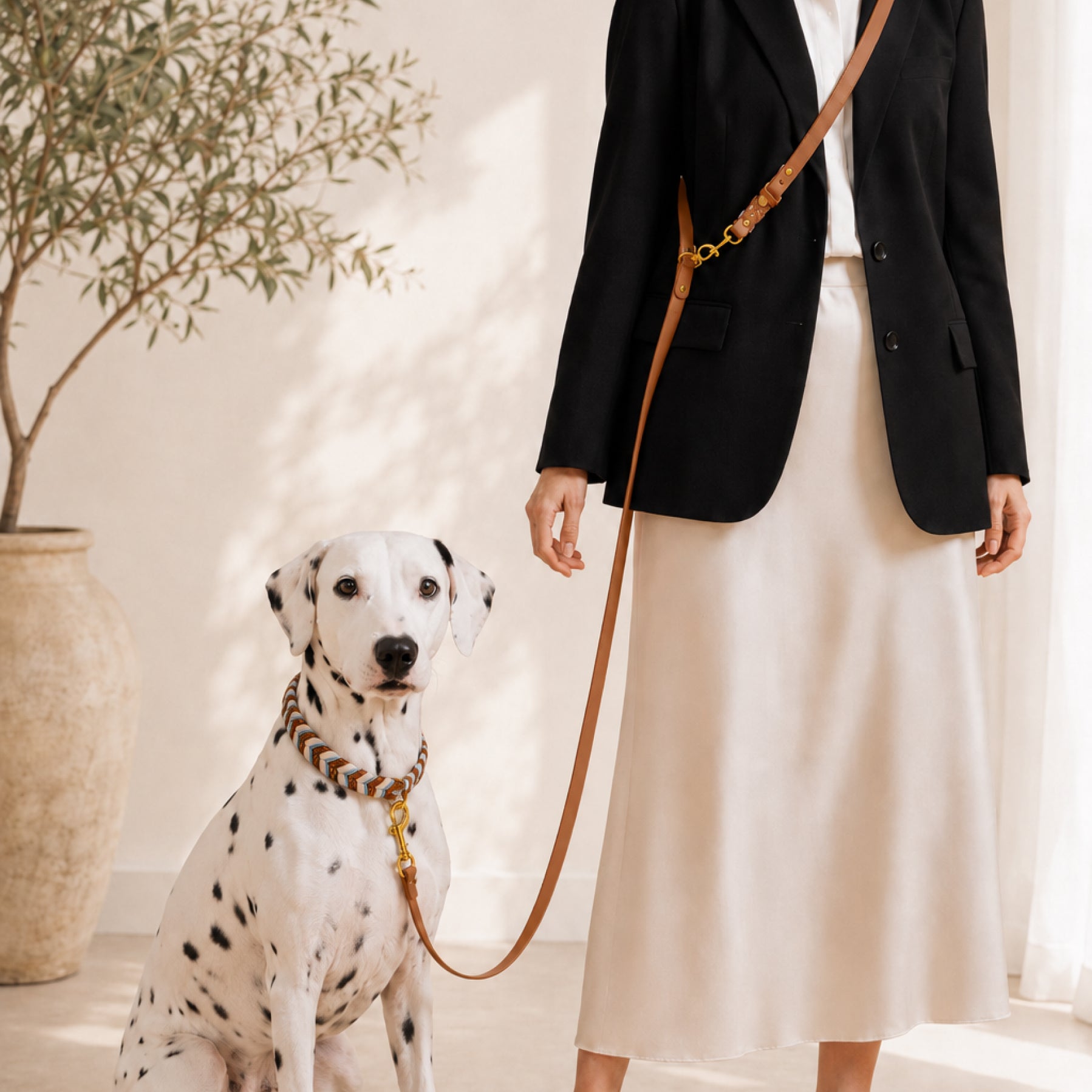 Handwoven Chevron Collar & Leash