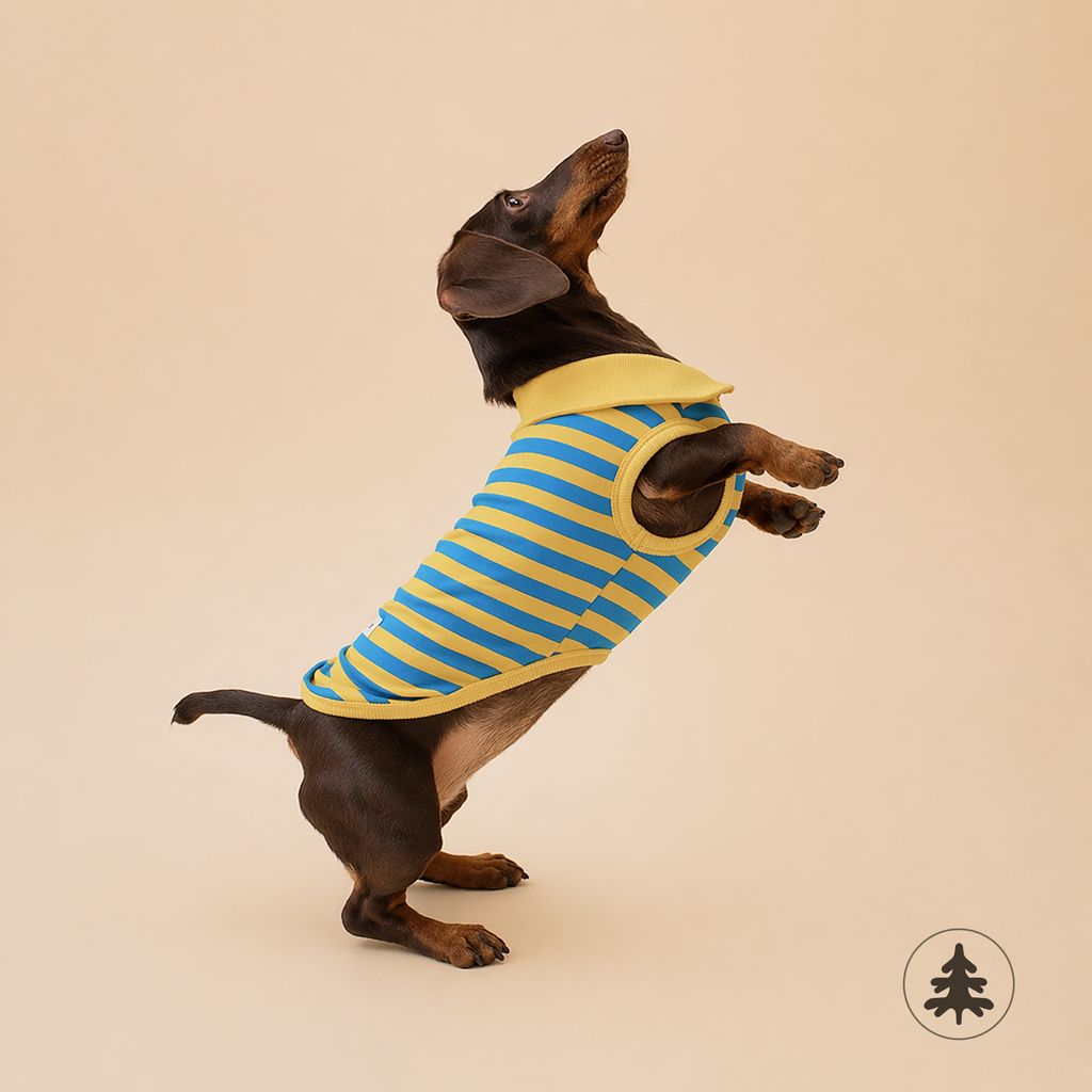 Stripe Polo Vest