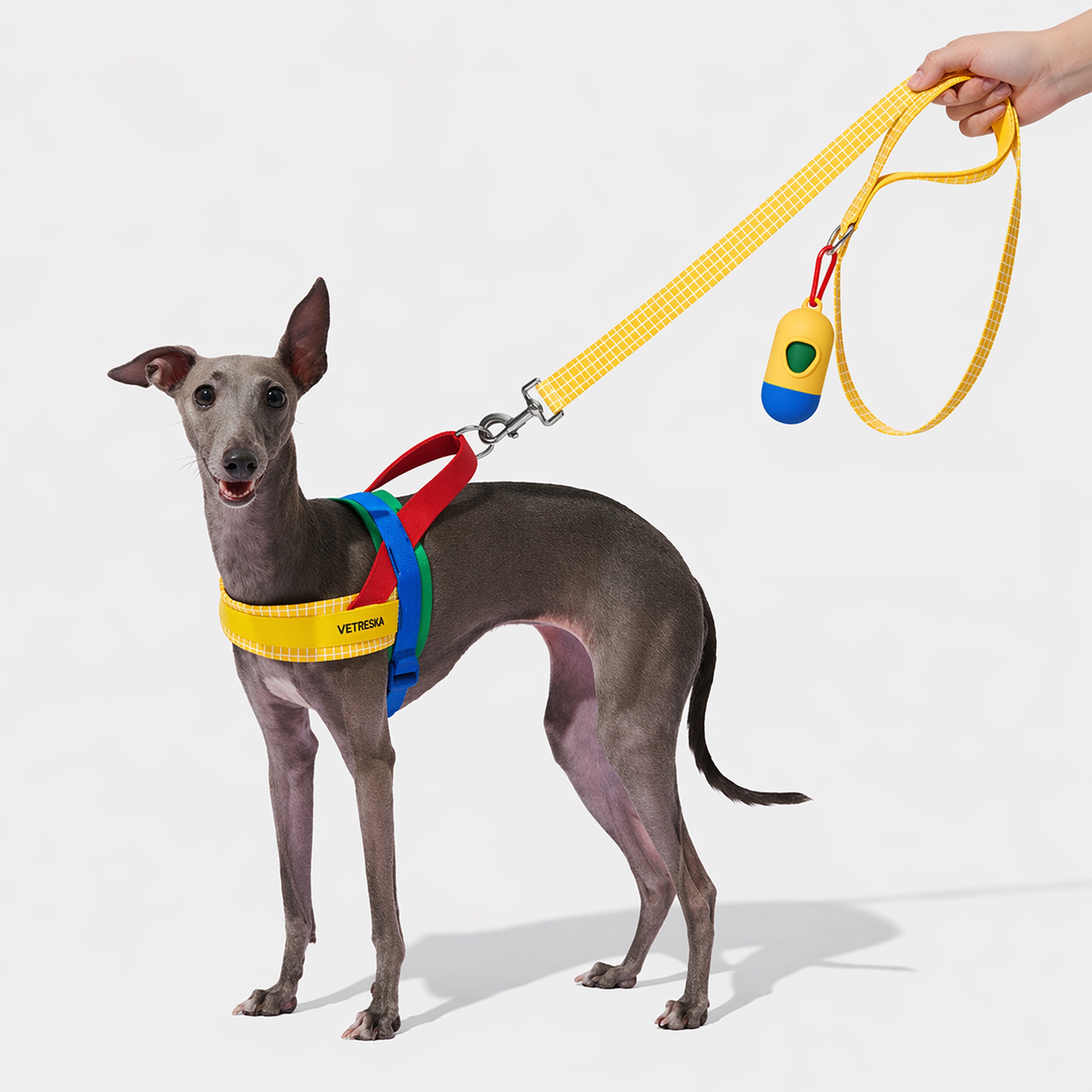 CHROMA Color-Block Harness Set