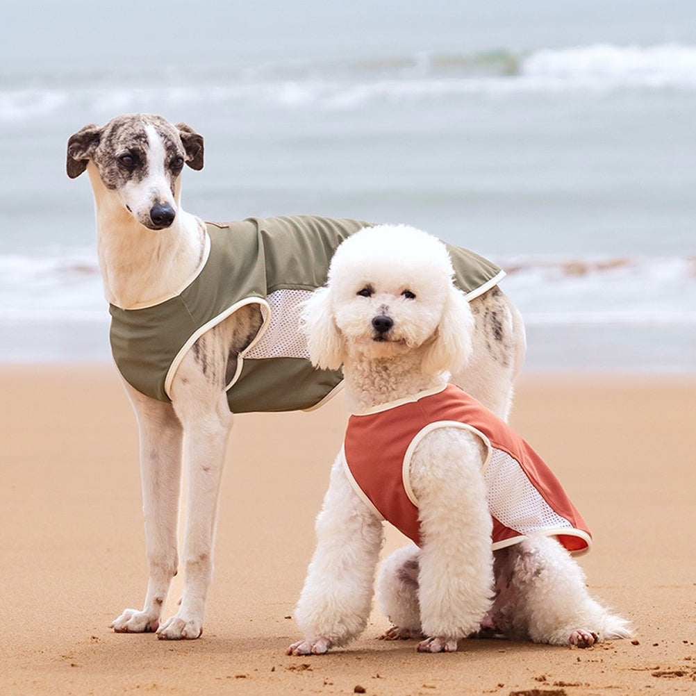 Cooling Mesh Vest