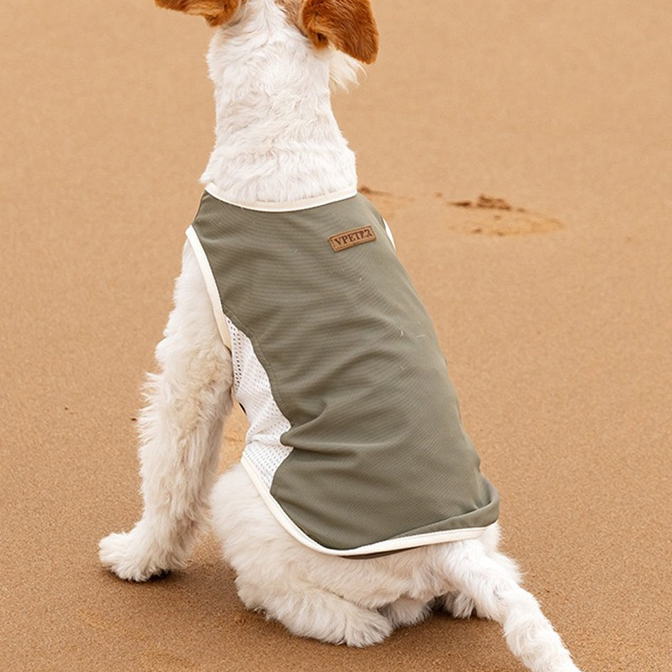 Cooling Mesh Vest