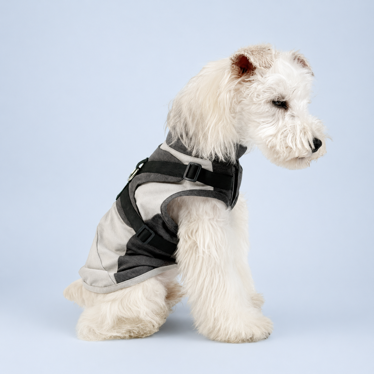 Walk-Ready Harness Vest