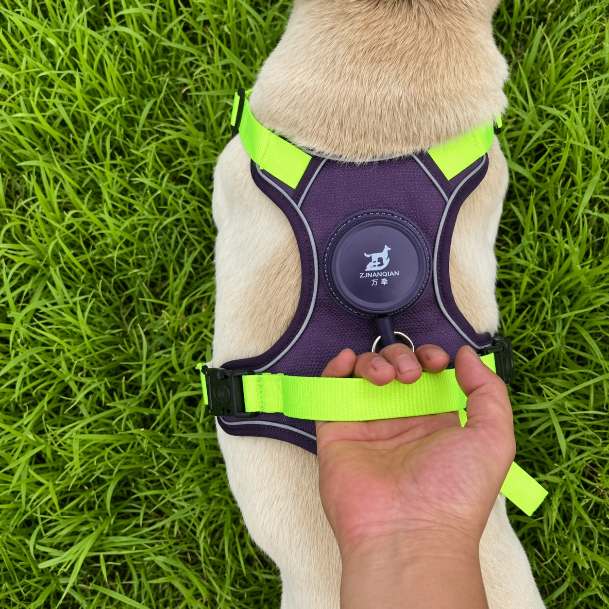 Outdoor Pro Retractable Harness Set
